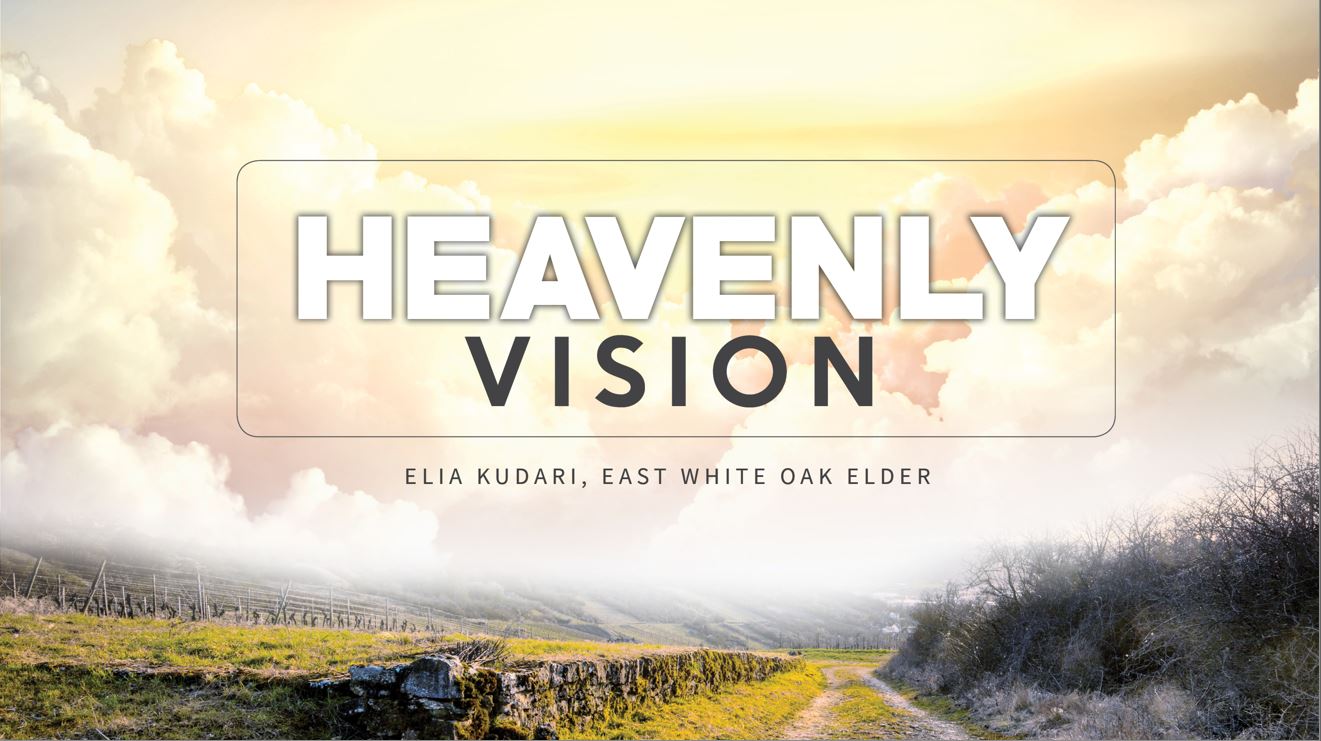 Heavenly Vision / Acts 9:1-43