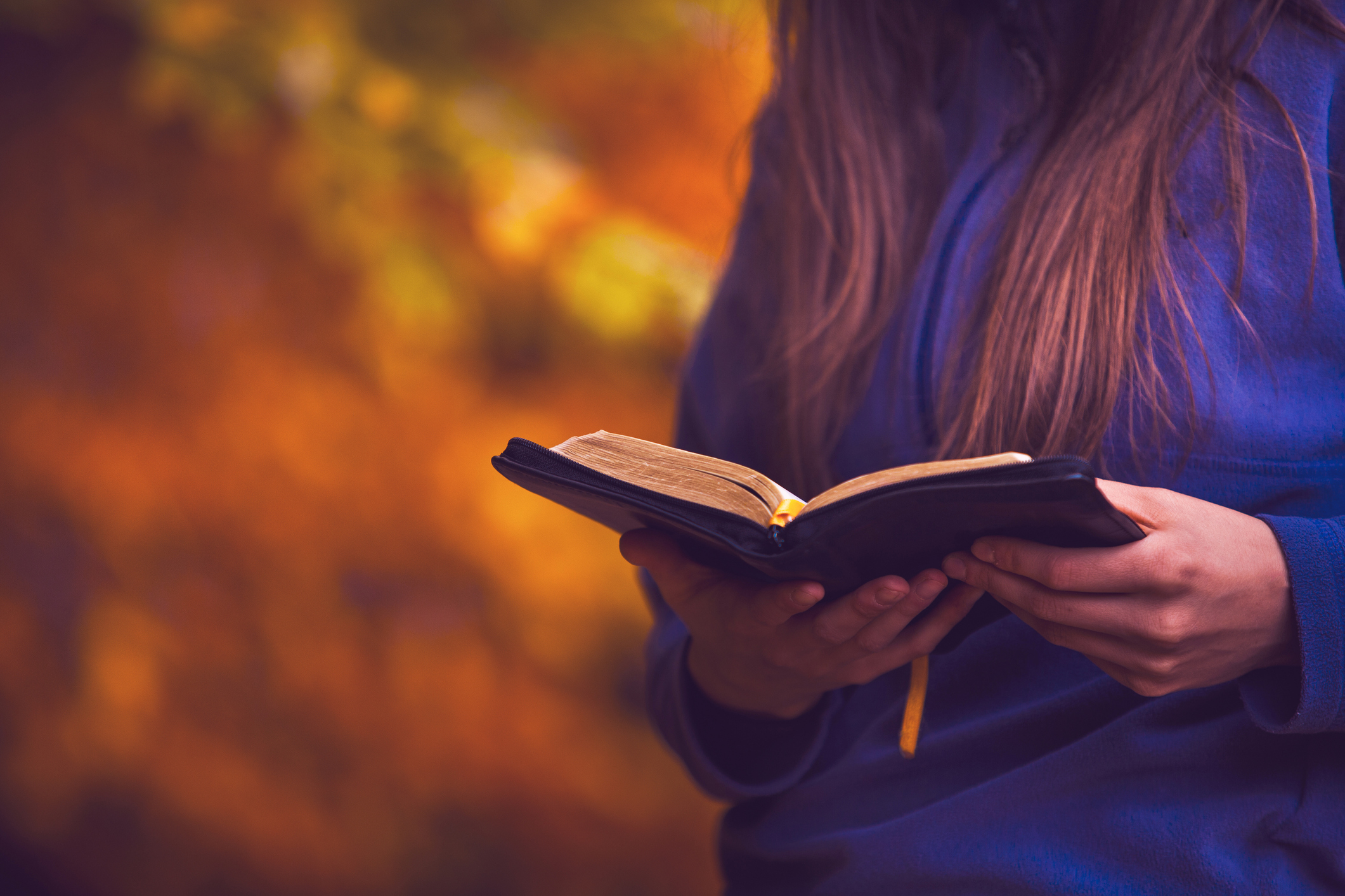 Women’s Ministry Fall 2022 Bible Studies