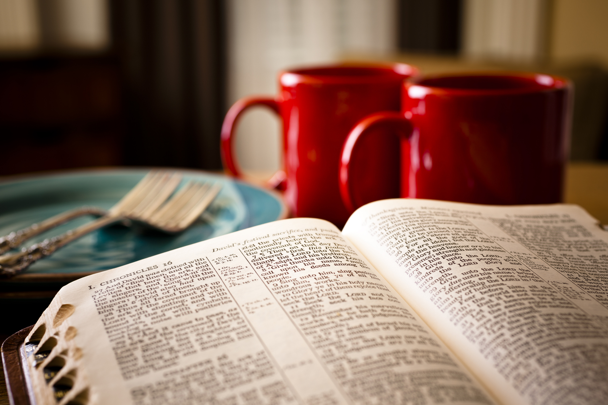 The Daily Habit of Being Rooted in Scripture