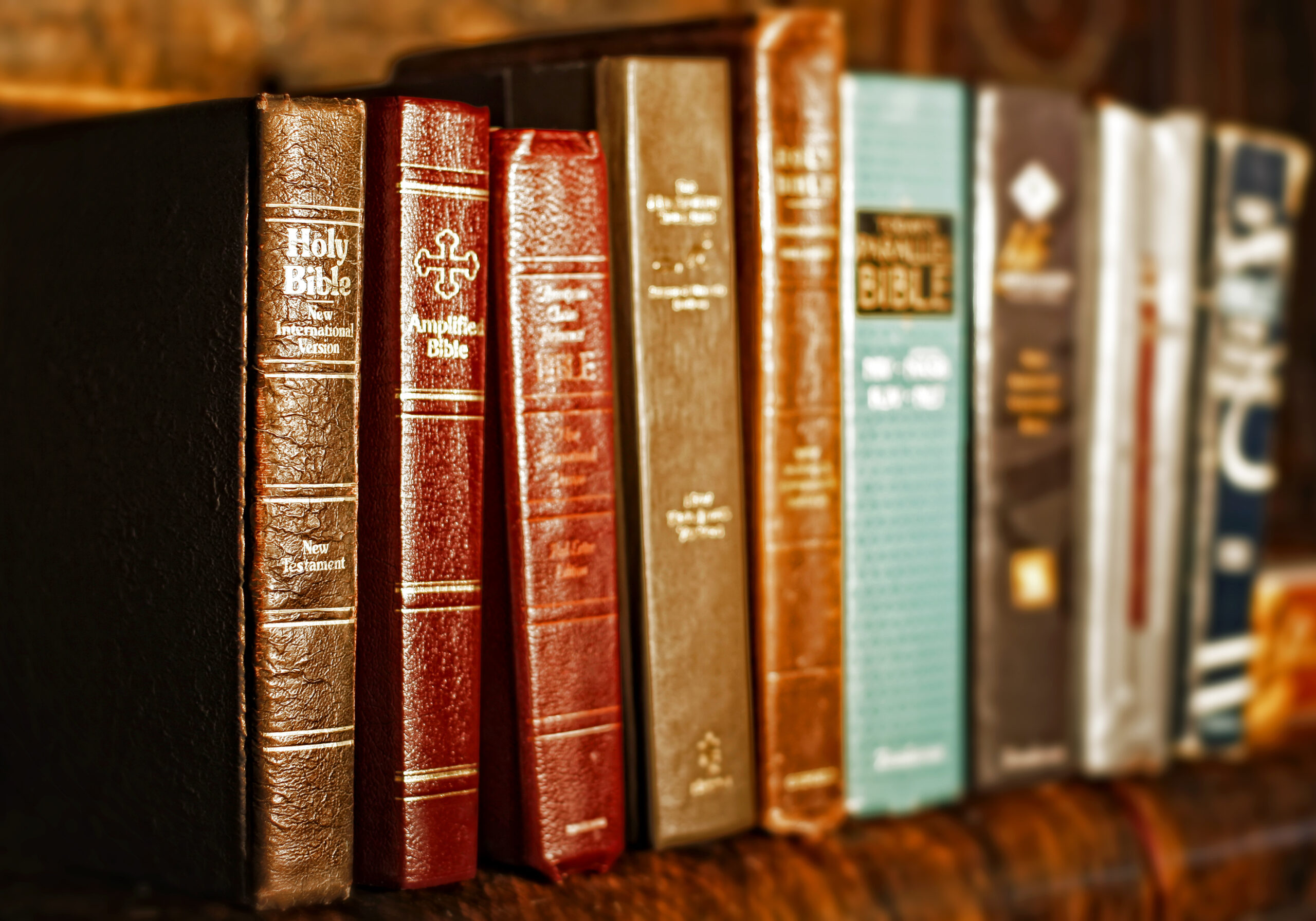 Why Are There So Many Bible Translations?